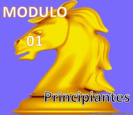 Modulo 1